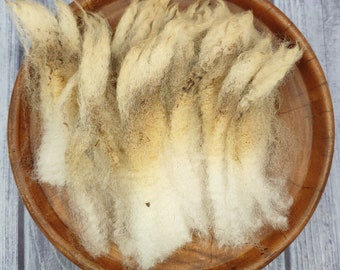 Tunis Raw Wool Fleece - Shave em to Save em - SE2SE