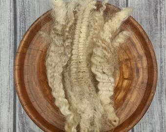 BFL Raw Wool Fleece - Border Leicester Cross - White Long Locks