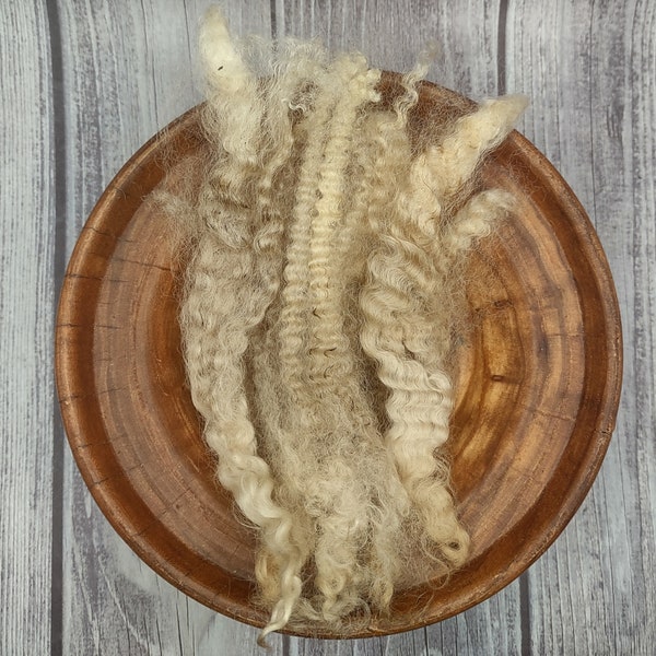 BFL Raw Wool Fleece - Border Leicester Cross - White Long Locks