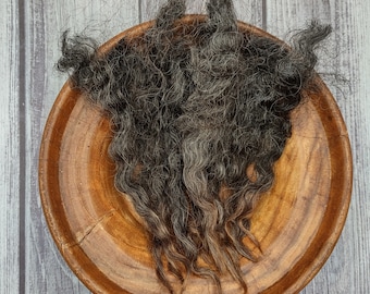 Border Leicester Raw Wool Locks - BFL Cross - Natural Colored