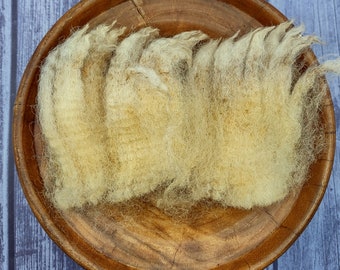 Rambouillet Suffolk Texel Raw Wool - White - Spinning