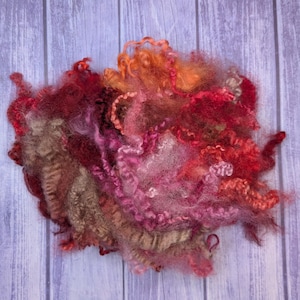May include: A collection of loose, curly wool fibers in a vibrant mix of colors including deep red, bright orange, soft pink, and earthy brown. The texture is fluffy and voluminous, showcasing individual locks and tangled strands of raw fiber.