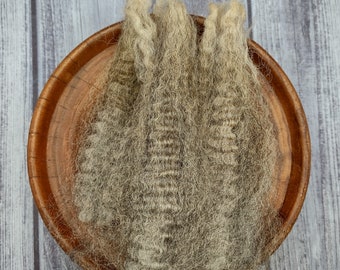 Romney Raw Wool - Texel Cross - Natural Colored