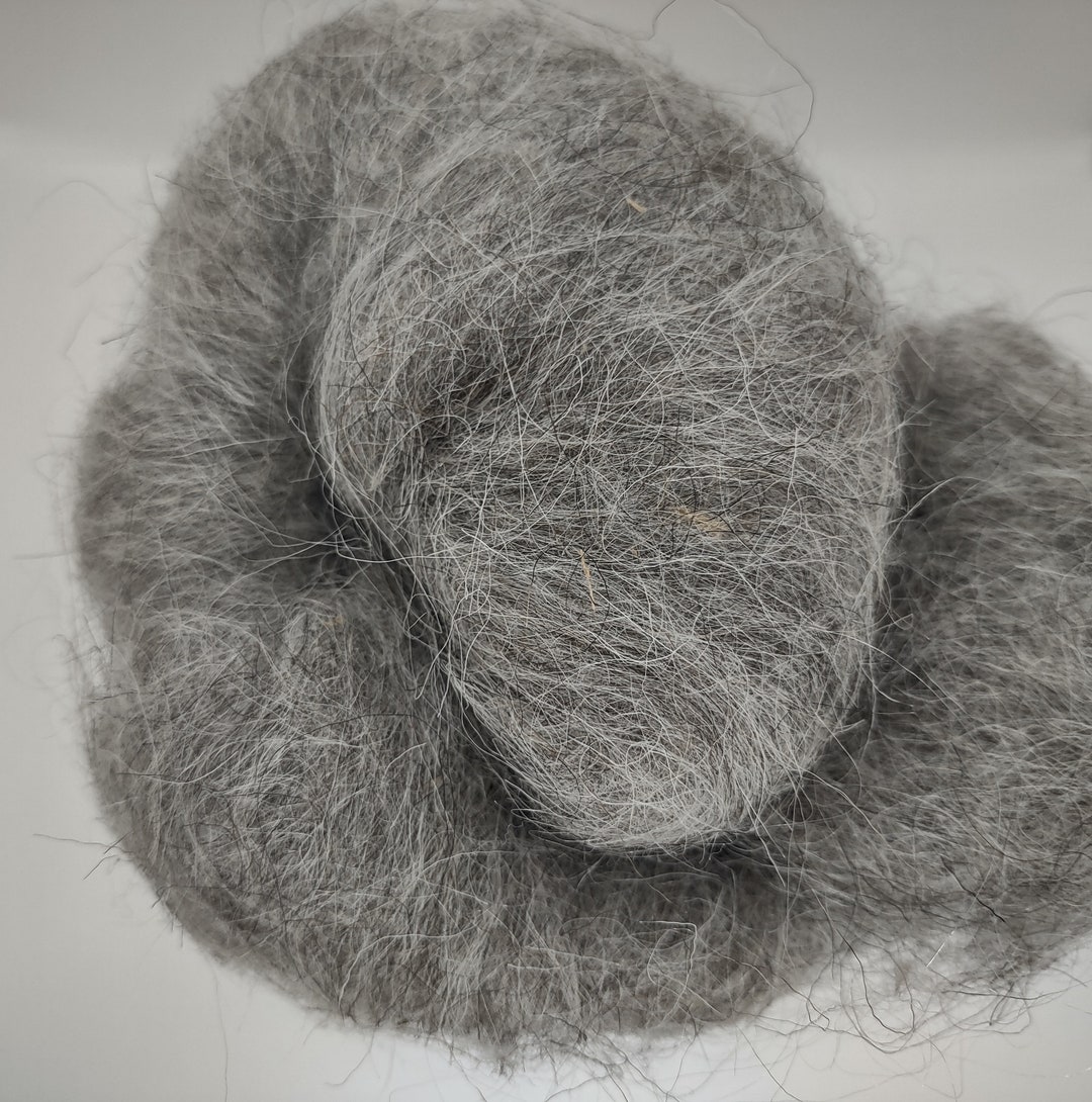 Navajo Churro Wool Roving Shave Em to Save Em Natural Colored Etsy