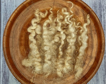 Border Leicester Raw Wool - Curly White Locks