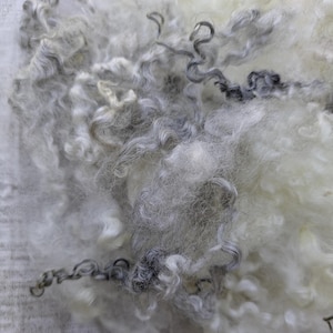 Mixed Wool Curly Locks - Natural Colors