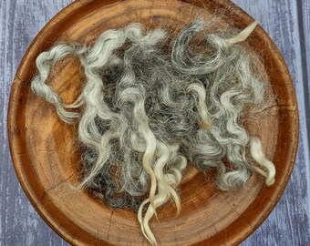 Cotswold Wool Locks - Raw or Washed - Natural Colored - Shave Em to Save Em