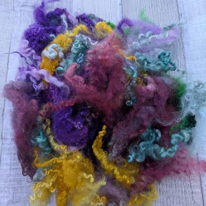 Mixed Wool Curly Locks - Bright Colors - Hand Dyed For Fiber Arts