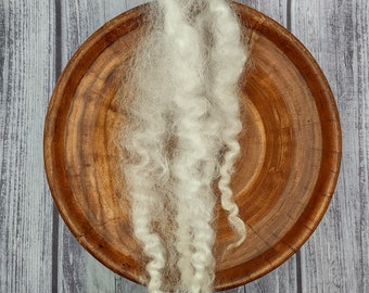 Teeswater Curly Wool Locks - Shave Em to Save Em - Spinning Felting