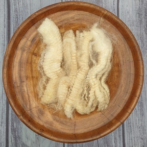 Corriedale Raw Wool Fleece - Luscious Long Locks - Spinning