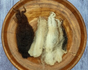 Jacob Raw Wool Fleece - Black and White - Shave Em to Save Em