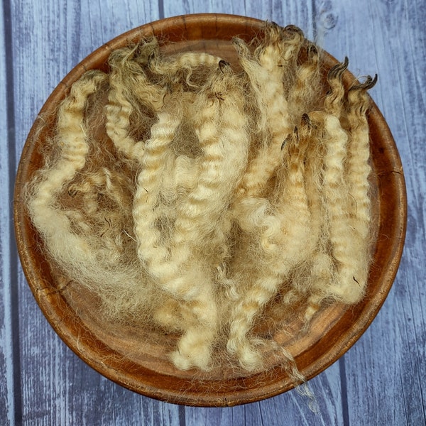 Romney Raw Wool Fleece - Perfect Crimp