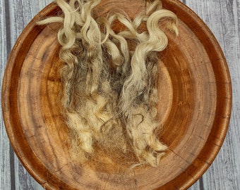 Teeswater Raw Wool - White Curly Locks