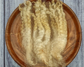 East Friesian Raw Wool - Border Leicester Cross - Long Locks