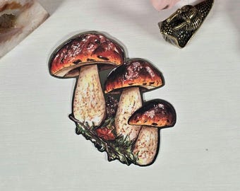 Röd och brun svamp, naturinspirerat klistermärke, Cottagecore, stansat vinylklistermärke, skogssvampklistermärken, holografisk