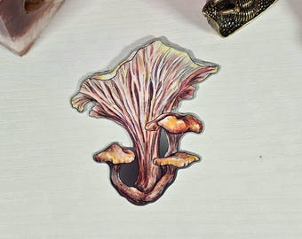 Oyster Mushroom Sticker  Nature Inspired Sticker, Cottagecore, Die-cut Vinyl Sticker, Forust Fungi Stickers, Holographic