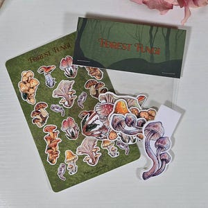 Può includere: Una collezione di adesivi a forma di funghi e un biglietto da visita. Gli adesivi presentano varie illustrazioni colorate di funghi su sfondo verde. Il biglietto da visita riporta il testo "FOREST FUNGI" e una scena di foresta.