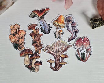 Mushroom Sticker Pack, Nature Inspired Stickers, Cottagecore, Die-cut Vinyl Sticker, Forest Fungi Stickers, Water-Resistant Mushie Stickers