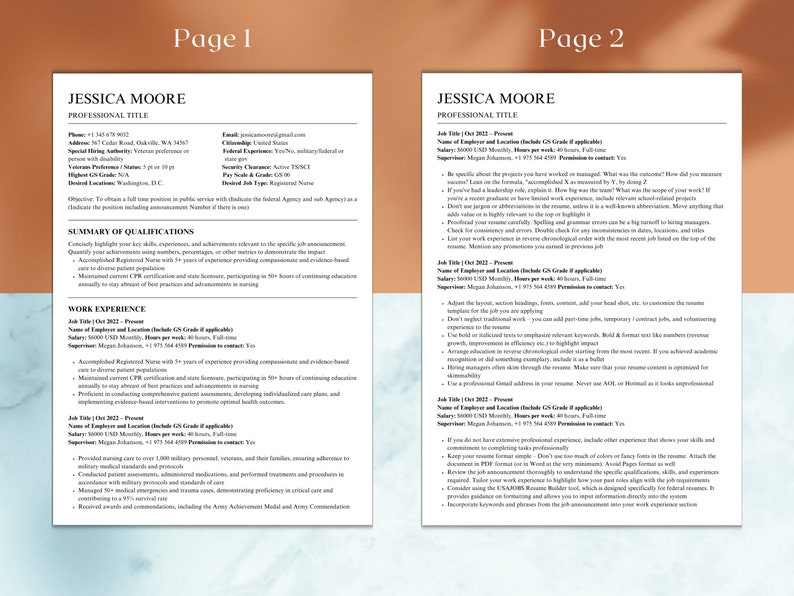 ATS Friendly Civil Servant Resume two page format in MS Word and Canva