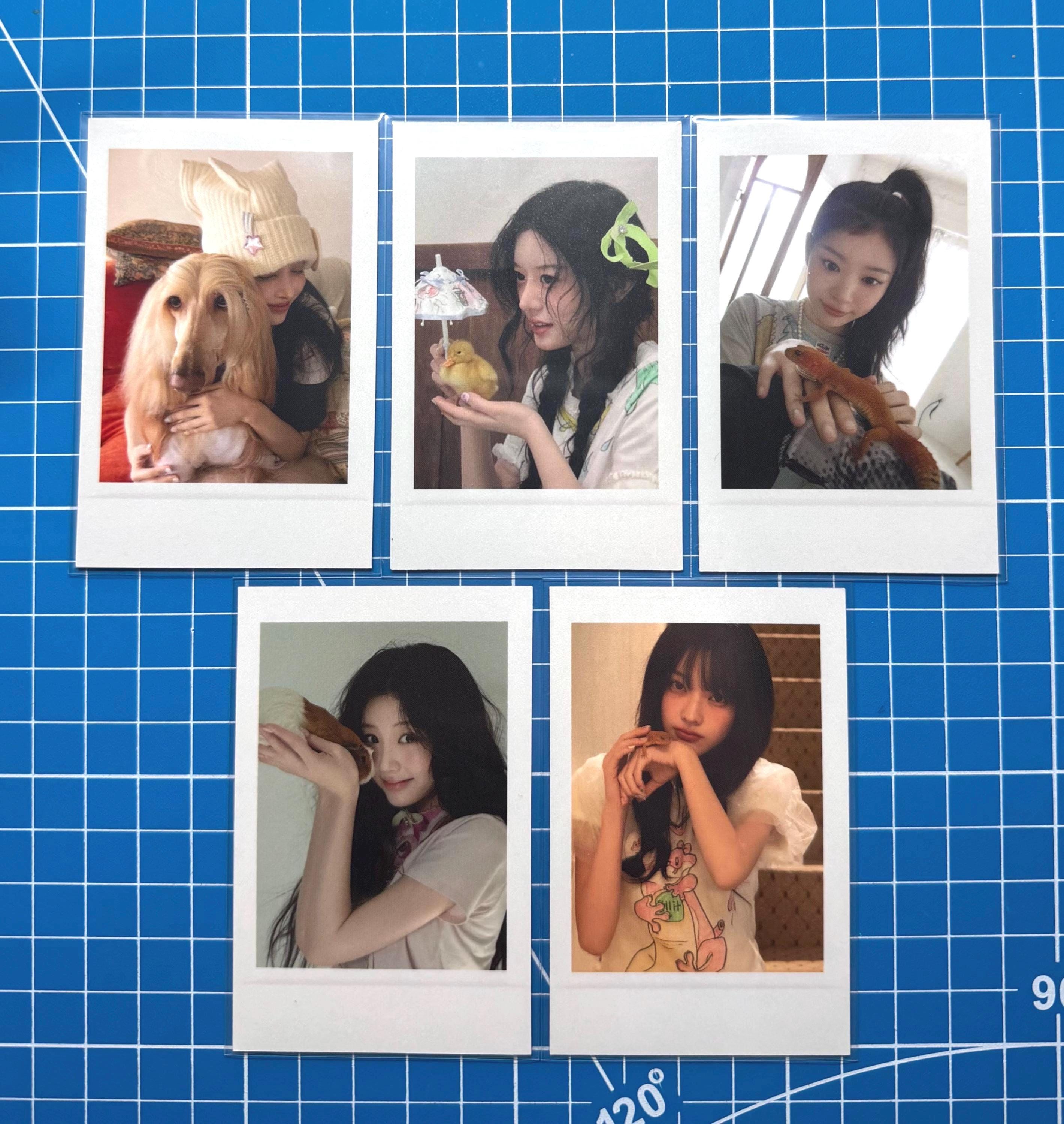 Official Illit Photocard - Etsy Singapore