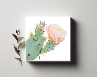 Impresión en lienzo de flor de cactus