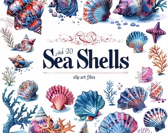SEA SHELLS - 20 clip arts (400 dpi, sea anemone, sea horse, bundle, digital, sea life, png, summer, sea star, vacation, pearl shell)