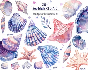 30 Seashells ClipArt, Seashells PNG, Seashells illustration, Watercolor Seashells, Shells PNG, Shells ClipArt, Flowers PNG, Seashells Bundle
