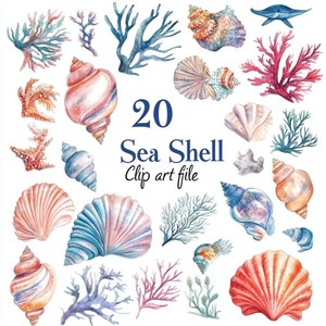 May include: A set of 20 watercolor illustrations of sea shells and coral. The illustrations are in shades of pink, blue, white, and brown. The set includes a variety of sea shells, including scallop shells, conch shells, and oyster shells. The coral is in shades of pink and red.