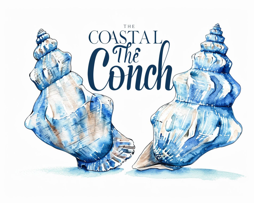 Conch Design Nautical Turquoise Conch Shells Cliparts - 25 High-quality Designs ...