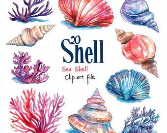 Organic Nautical Seashells Clipart- 20 Sea Life Designs (400 DPI) - Sea Anemone, Seahorse, Sea Star, Pearl, Summer Vacation Digital PNG