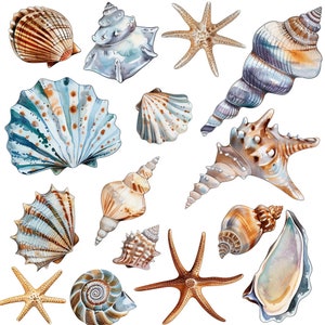 Paquete de imágenes prediseñadas de conchas marinas en acuarela - 100 diseños vintage de alta calidad - 600 DPI - Agrupe y ahorre