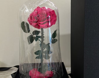 Luxury Preserved Rose For Friend, Gift Everlasting flowers For Special Occasion