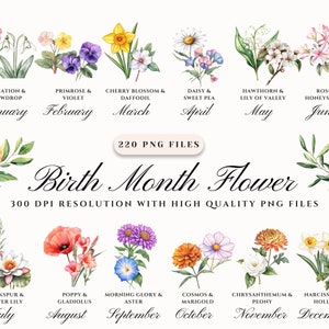 Imágenes prediseñadas de flores del mes de nacimiento, diseño floral, flores PNG de nacimiento, imágenes prediseñadas botánicas, gráfico de ramo de flores personalizado, PNG floral antiguo