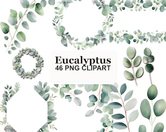 Watercolor Eucalyptus Clipart Bundle, Botanical Greenery PNG, Wedding Invitation Floral Leaves, Wreath Branch Clipart, 46 PNG