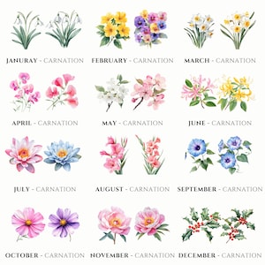 birth flowers digital art flower illustrations birth month clipart monthly floral graphics zodiac flower designs printable birth month art watercolor flowers botanical clipart birth month designs digital floral clipart