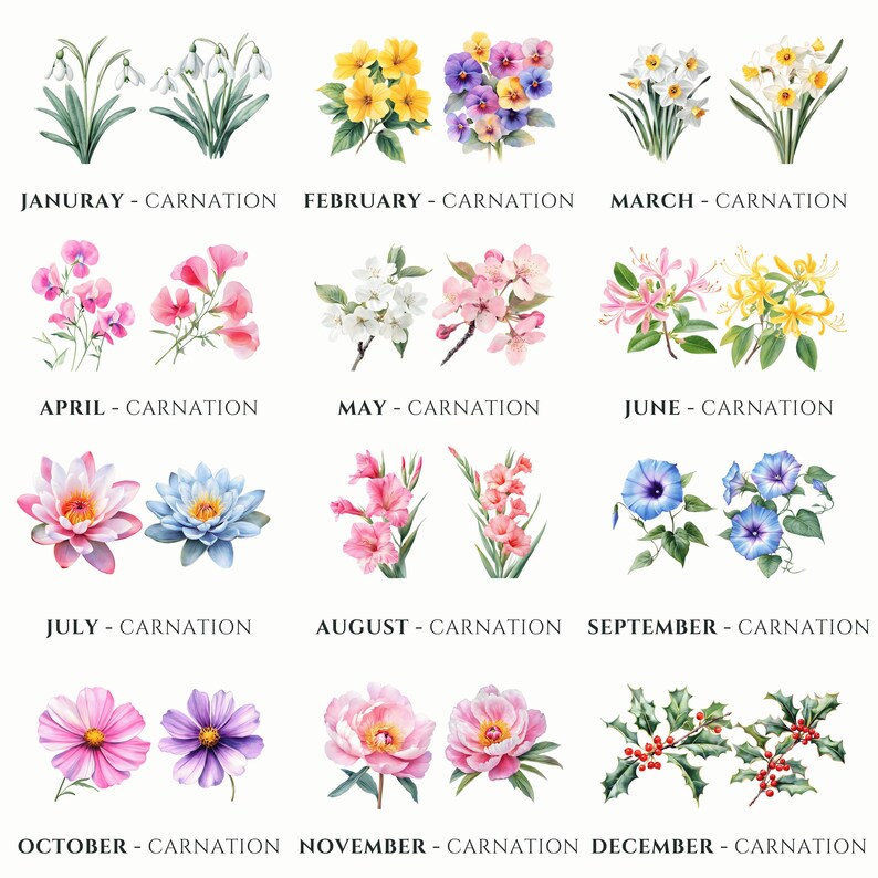 birth flowers digital art flower illustrations birth month clipart monthly floral graphics zodiac flower designs printable birth month art watercolor flowers botanical clipart birth month designs digital floral clipart