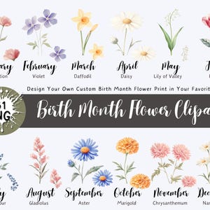 Clipart fleurs mois de naissance, art botanique floral ancien, art floral bricolage, graphique floral, clipart botanique, impression de fleurs de naissance aquarelle
