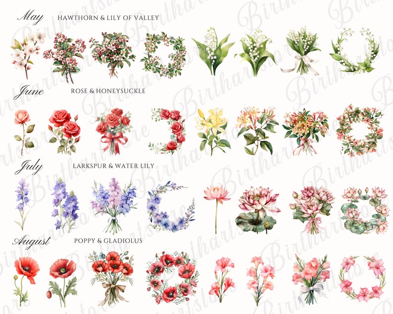 Birth month flower cards clipart
Birth month flower invitations clipart
Birth month flower svg
Birth month flower for January clipart
Daisy clipart
Minimalist birth month flower clipart
Birth month flower illustrations