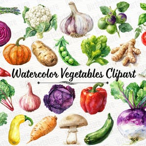 Può includere: Illustrazione ad acquerello di varie verdure, tra cui una cipolla rossa, zucca, aglio, peperone rosso e rapa. L'immagine presenta anche asparagi, cavolfiore, una patata e una zucchina. Il testo "Watercolor Vegetables Clipart" è incluso.