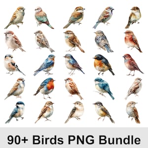 May include: A selection of watercolour bird illustrations in various colours, including blue, brown, red, and grey. The image features a variety of bird species, each with unique plumage patterns. Text at the bottom reads "90+ Birds PNG Bundle."