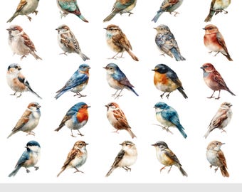 90 Watercolor Birds Clipart PNG Bundle | Bird Digital Art for Junk Journal Supplies & Nursery Decor Clipart, Commercial Use Instant Download