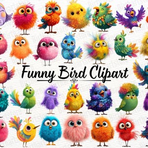 Könnte beinhalten: Eine Sammlung farbenfroher Vogelillustrationen im Cartoon-Stil. Die Vögel weisen verschiedene Farben auf, darunter Rot, Blau, Gelb und Lila, mit ausdrucksstarken Augen und flauschigen Texturen. Der Text "Funny Bird Clipart" ist zu sehen.