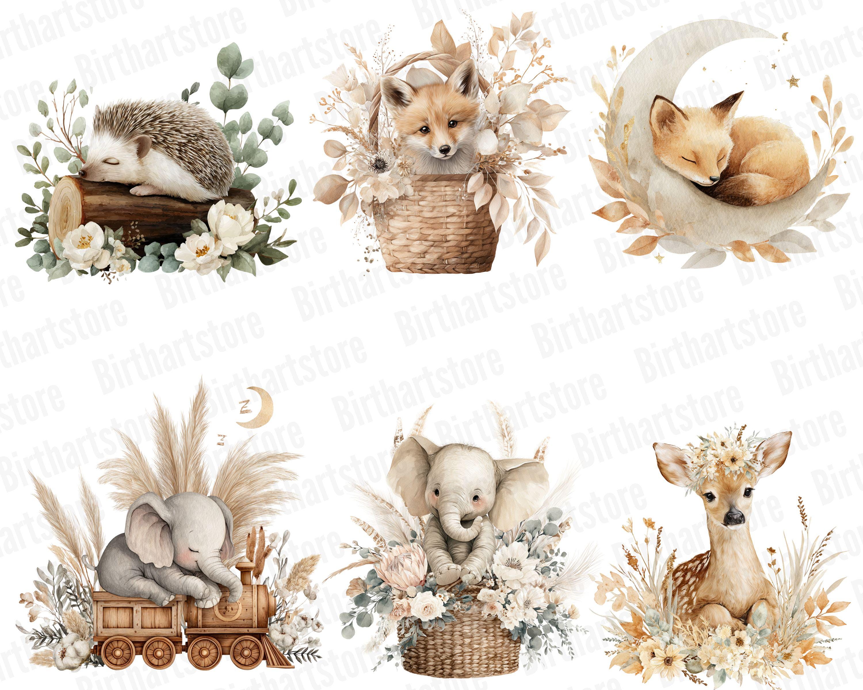 Watercolor Baby Animals Clipart Bundle, Boho Woodland Nursery PNG Set ...