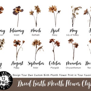 Clipart de flores do mês de nascimento, Clipart de flores secas, Clipart de boho de outono, Plantas secas PNG, Floral vintage PNG, Clipart de flores secas de outono