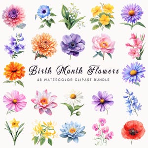 Clipart de flores do mês de nascimento, clipart floral em aquarela, impressão de flores faça você mesmo, pacote de flores de nascimento PNG, clipart digital de flores, florais de aniversário