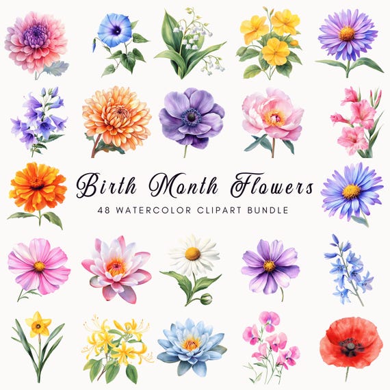 Birth Month Flowers Clipart, Watercolor Floral Clipart, DIY Flowers Print, Birth Flower PNG Bundle, Digital Flower Clipart, Birthday Florals