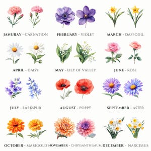 flower clipart digital birth flowers monthly floral designs zodiac flower graphics birth month art watercolor flowers botanical clipart birth month illustrations monthly flower clipart printable birth flower designs
