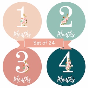 Monthly Baby Milestone Stickers Clipart I Floral Monthly Milestone Stickers I Milestone Stickers For Babies I Pregnancy Journey Markers