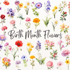 Birth Month Flower Clipart, Personalized Flower Bouquet Graphic, Birthday Flower, Floral Botanical PNG, Birth Flower PNG, Antique Floral PNG