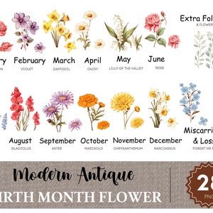 Birth Month Flower Clipart, Birth Flower PNG, Antique Floral PNG, Personalized Flower Bouquet Graphic, Birthday Flower, Floral Botanical PNG